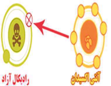 آنتی اکسیدان، رادیکال آزاد،