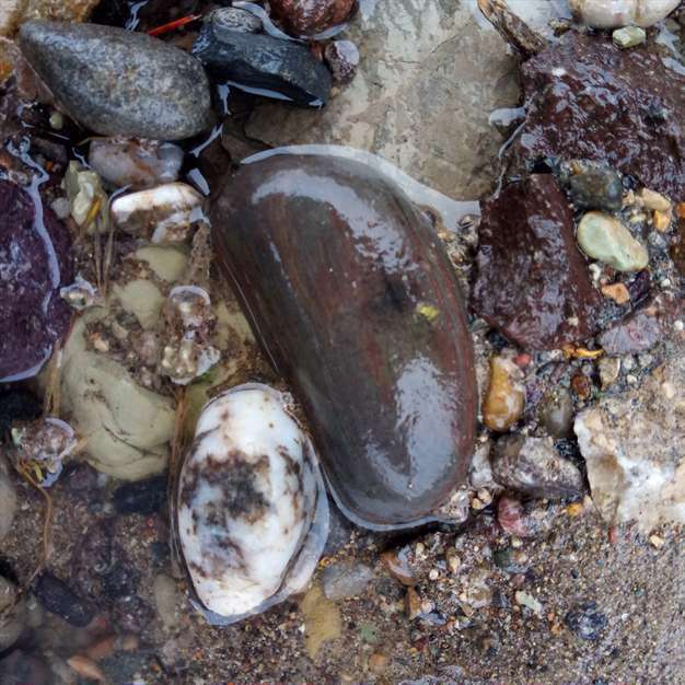 دنیای سنگ ها 