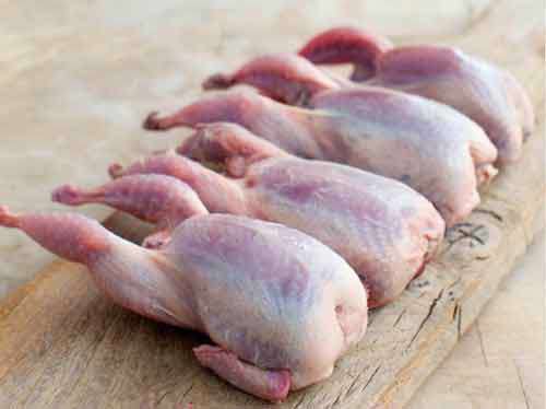 فواید گوشت بلدرچین فواید گوشت بلدرچین