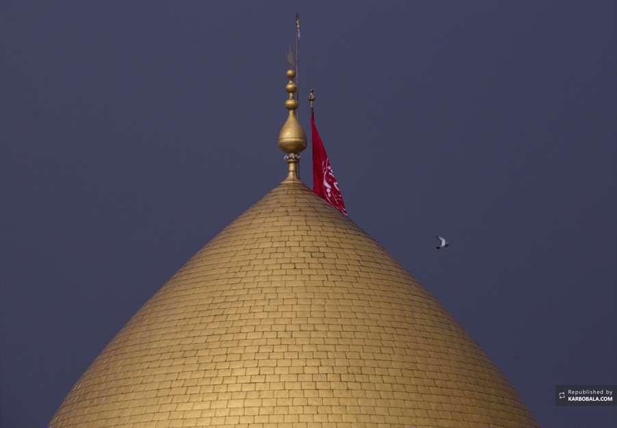 عباس، چشم همه دلبران