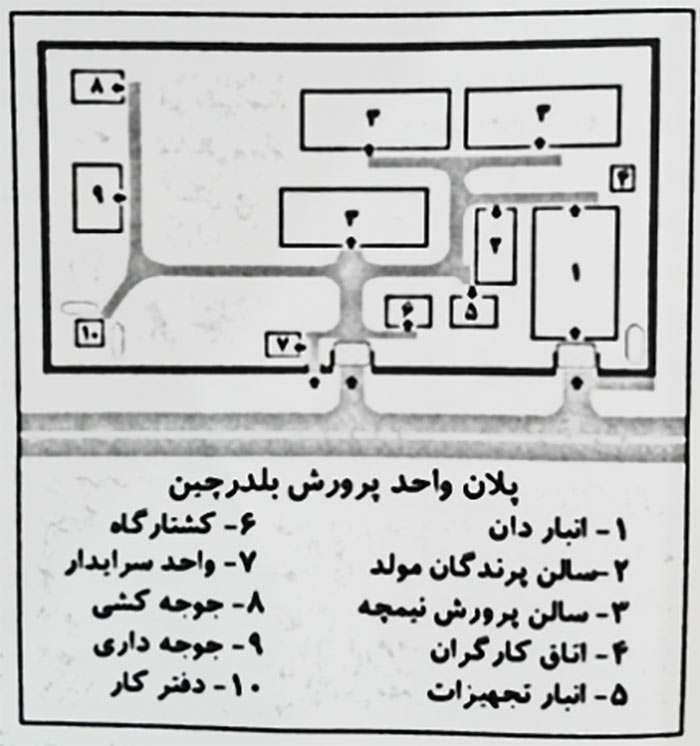 آموزش پرورش بلدرچین