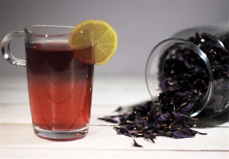 شربت گل گاو زبان، گیاه، گل، گل گاوزبان