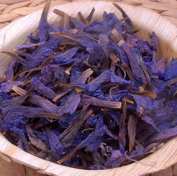 گل گاوزبان