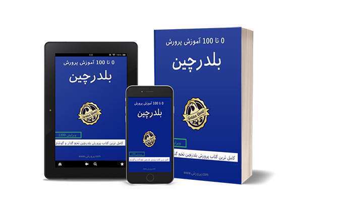 آموزش پرورش بلدرچین