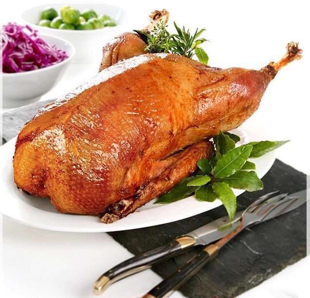 گوشت اردک