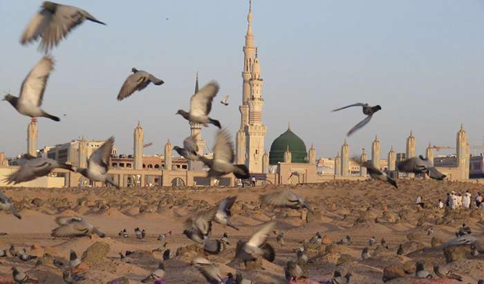 زیارت ائمه بقیع (امام زین العابدین، امام باقر، و امام صادق) (ع) در روز سه شنبه