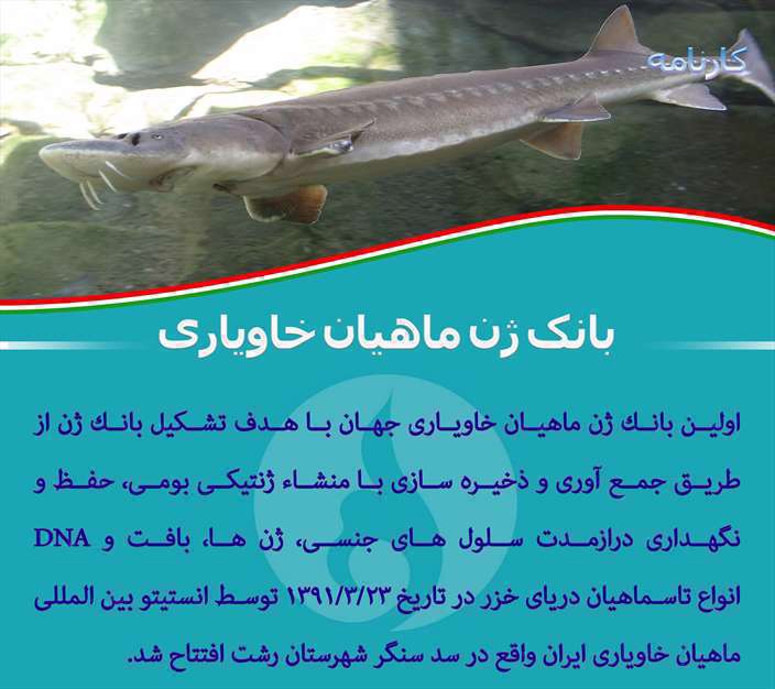 دستاوردهای انقلاب اسلامی 