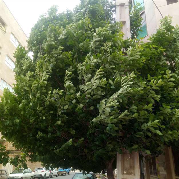 طوفان