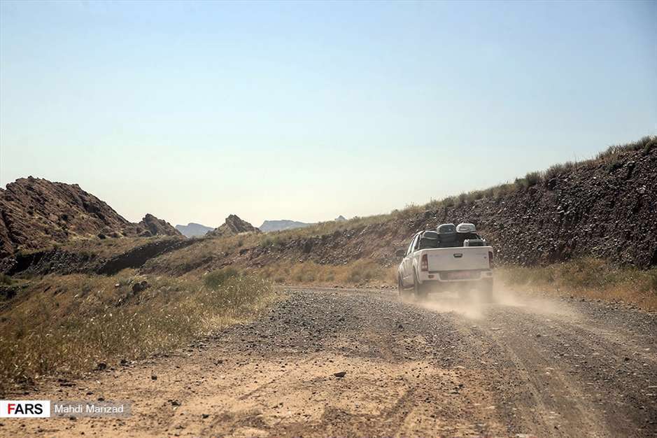 رها سازی پرندگان شکاری در قم 