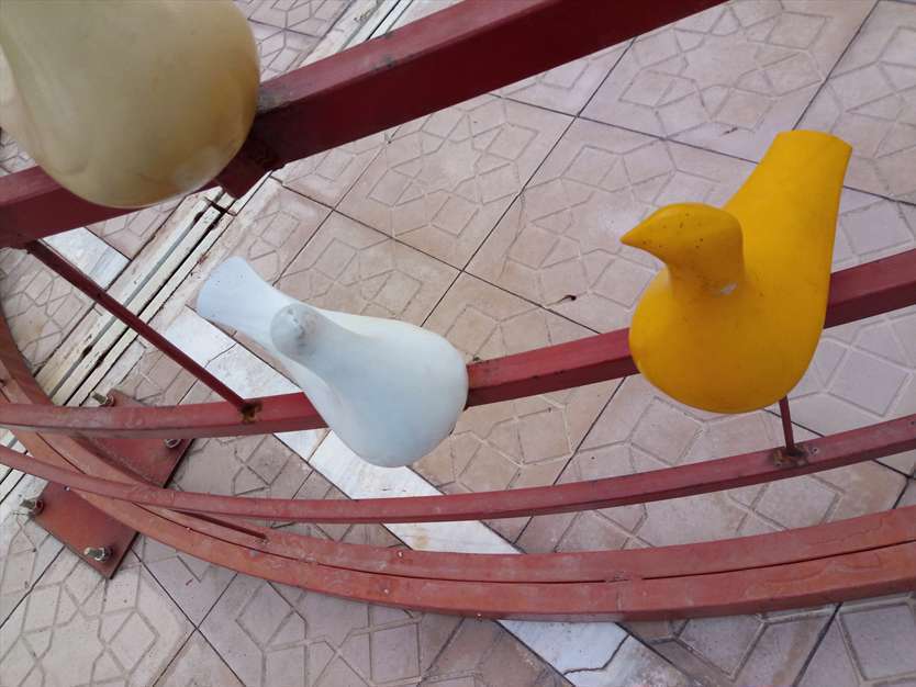 تندیس مرغان 
