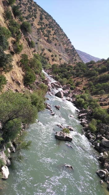 آبشاربیشه