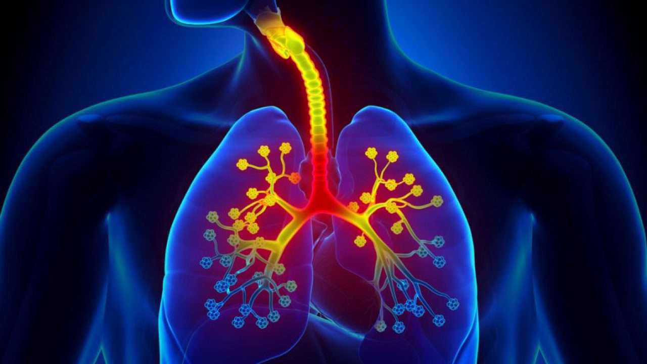 علائم آسم، بیماری ریوی، بیماری روده، بیماری آسم، بیماری تنفسی،