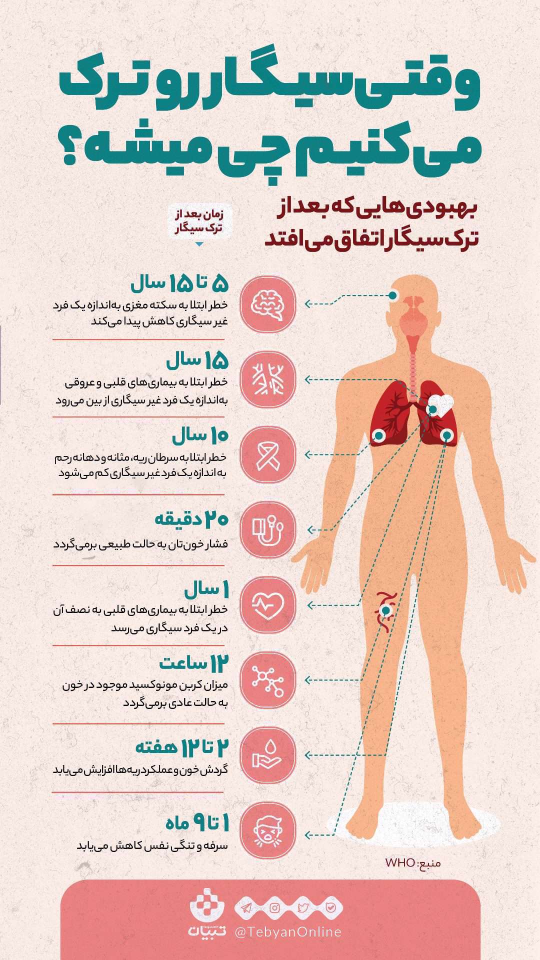 اینفوگرافیک| همه فواید ترک سیگار برای بدن اینفوگرافیک| همه فواید ترک سیگار برای بدن
