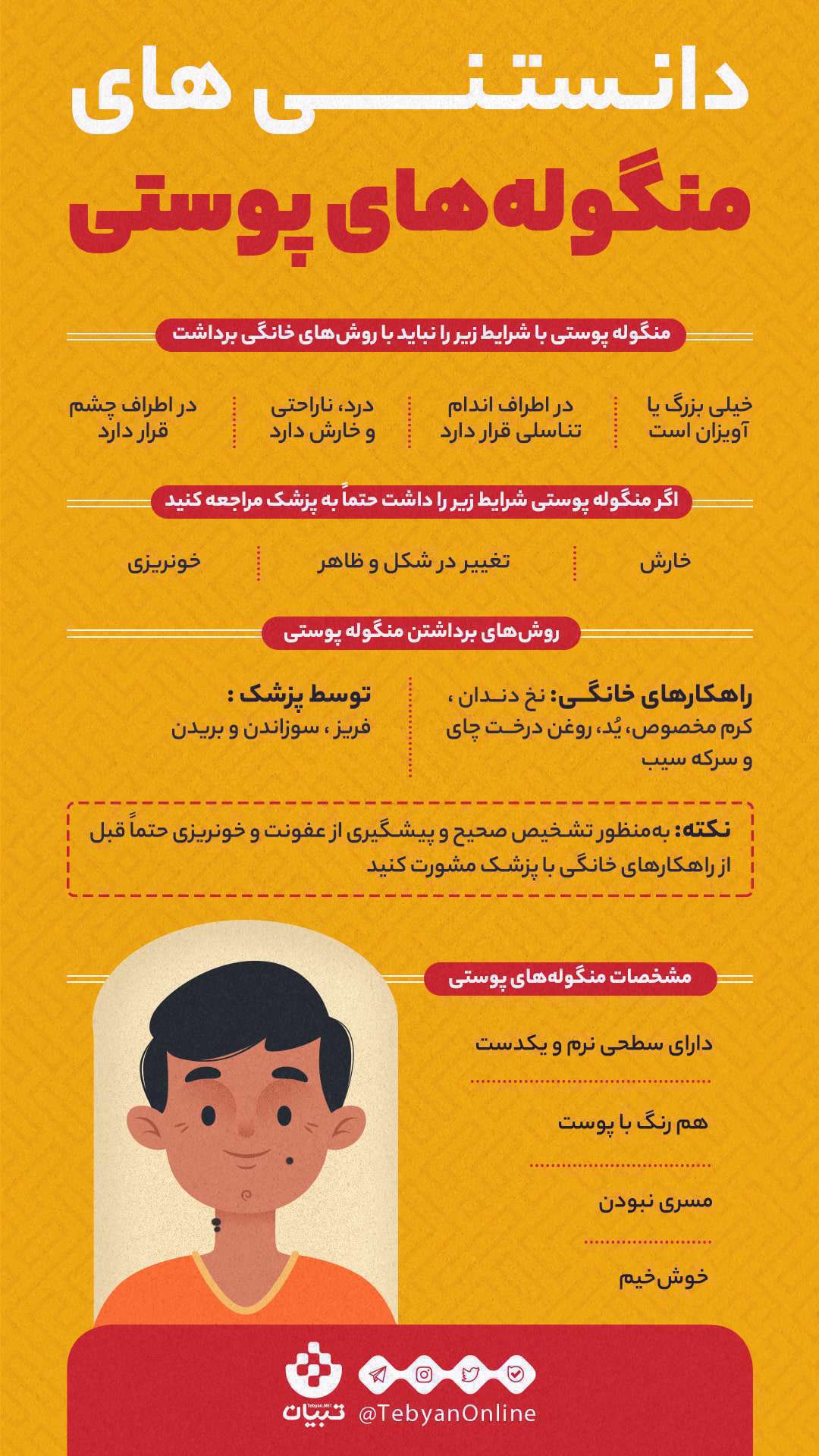 اینفوگرافیک| منگوله پوستی یا گوشت اضافه چیست؟ اینفوگرافیک| منگوله پوستی یا گوشت اضافه چیست؟