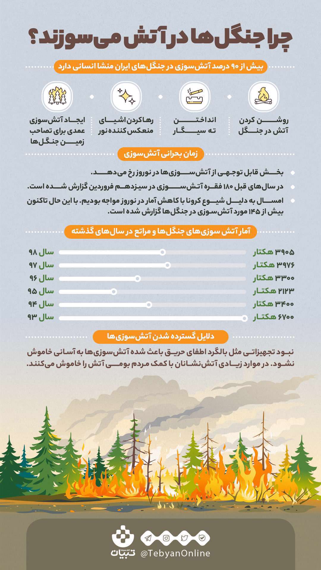 اینفوگرافیک| چرا جنگلها در آتش میسوزند؟ اینفوگرافیک| چرا جنگلها در آتش میسوزند؟