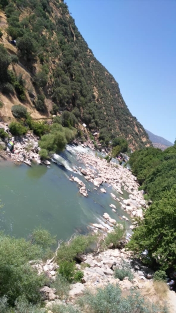 آبشاربیشه