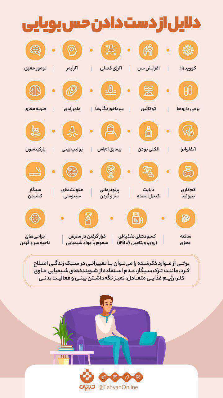 اینفوگرافیک| علتهای از دست دادن حس بویایی اینفوگرافیک| علتهای از دست دادن حس بویایی
