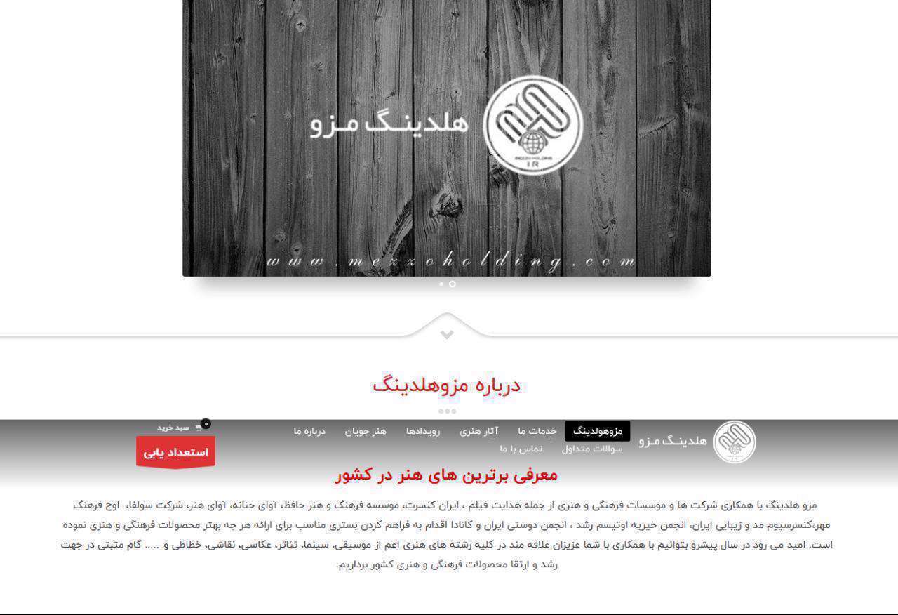 شرکت هولدینگ مزو