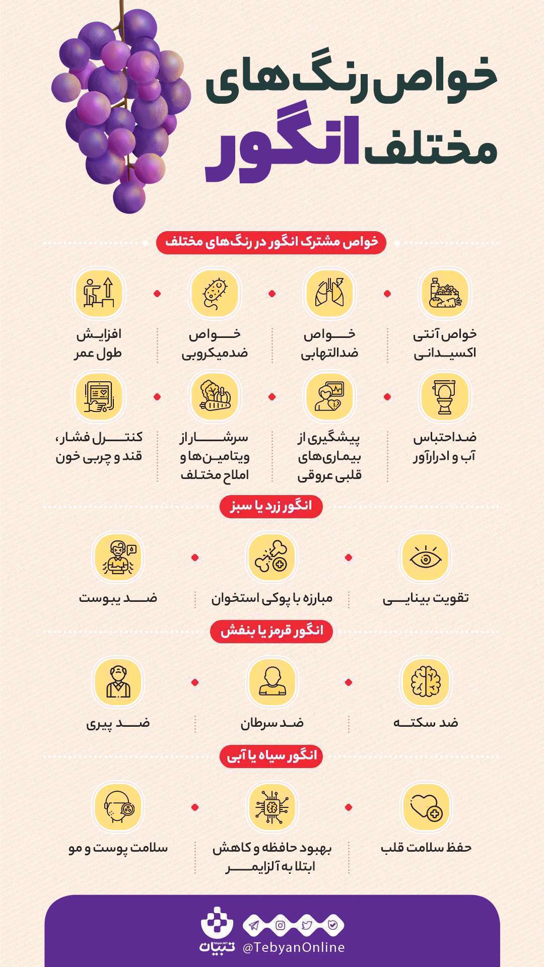 انگور- خواص رنگ انگور- رنگ های مختلف انگور-