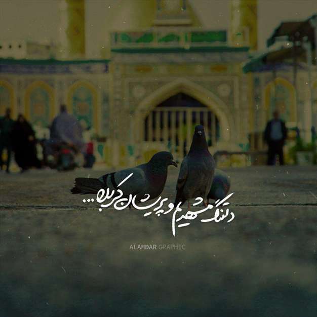 استوری و وضعیت دلتنگی حرم امام رضا