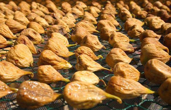 انجیر خشک