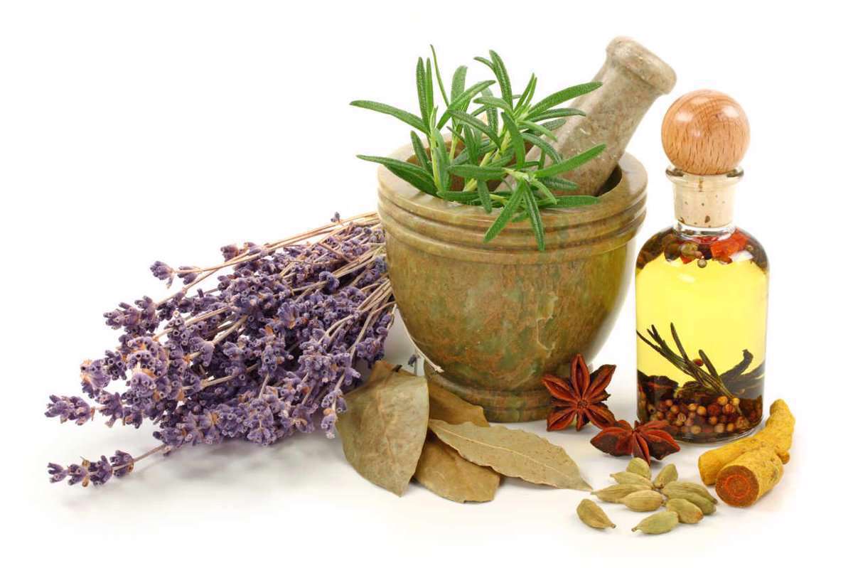 داروهای گیاهی، داروها،گیاهان دارویی،