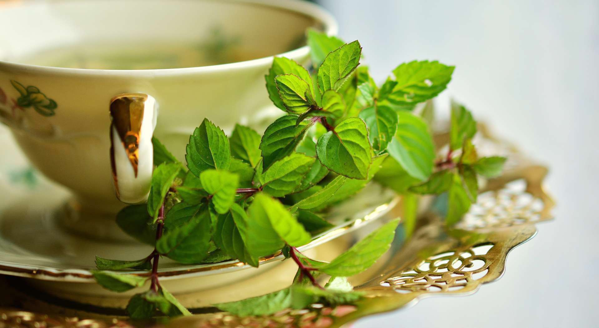 سه روش برای از بین بردن بوی بد دهان با نعنا سه روش برای از بین بردن بوی بد دهان با نعنا