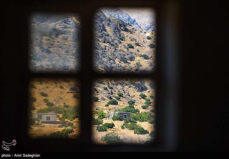  انجیر  استهبان فارس از برداشت تا فراوری 