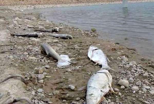 آلودگی آب رودخانهها، آلودگی آب،