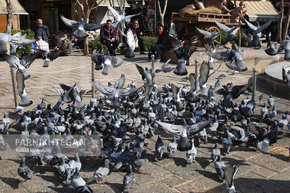 تهران‌گردی در دوران کرونا