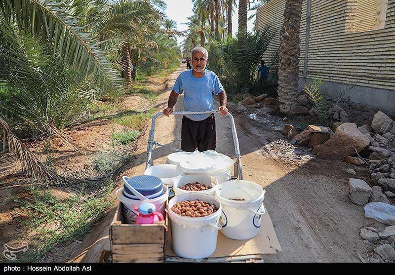 فصل برداشت خارک و رطب در آبادان