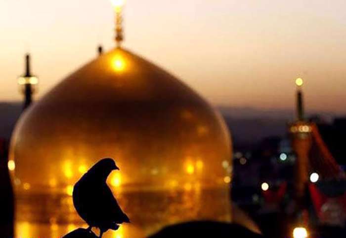 زیارت امام رضا علیه السلام زیارت امام رضا علیه السلام
