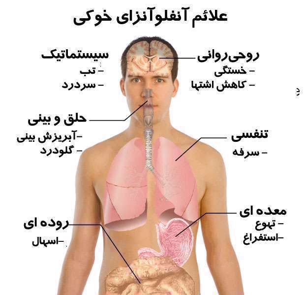 علائم آنفلوآنزای خوکی