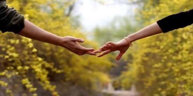 زندگی عاشقانه