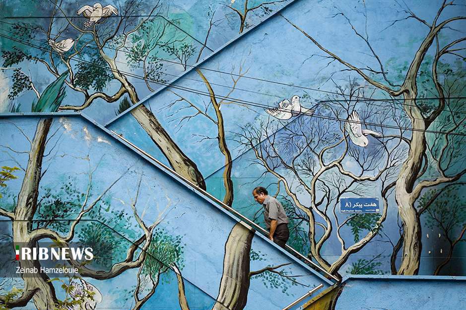 دیوارهایی برای زیبایی و آموزش