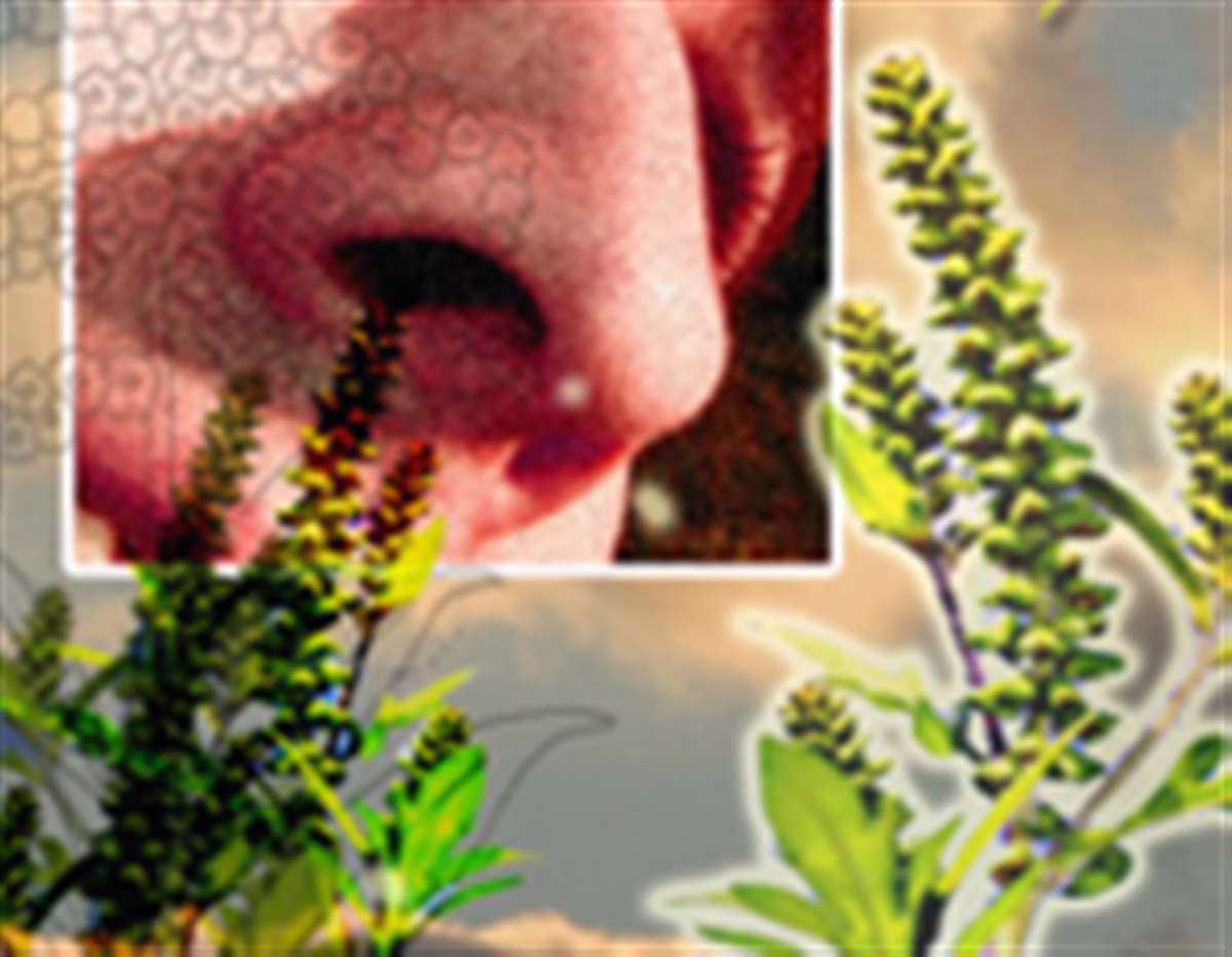 زکام بهاره، تب یونجه، آلرژی بهاری، حساسیت بهاری،