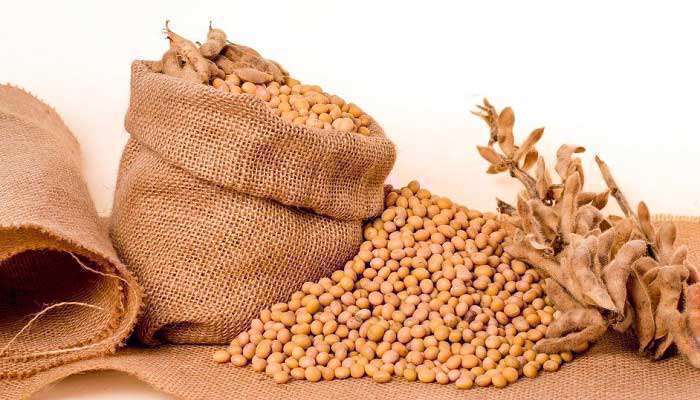 طرز تهیه انواع غذا با سویا سویا