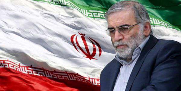 محسن فخری زاده