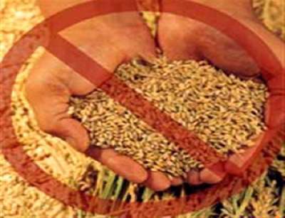 بیماری سلیاک، مصرف گندم و جو،