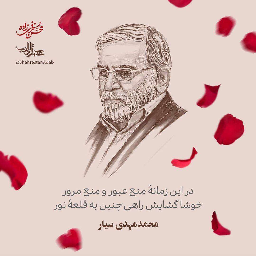 شهید محسن فخری زاده