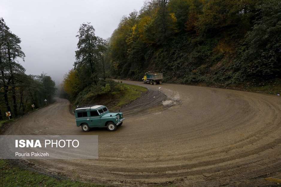 تصاویر شگفت انگیز پائیز در جنگل‌های هیرکانی گیلان