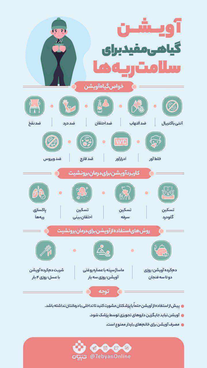 گیاه آویشن، سلامت ریهها، اینفوگرافی،