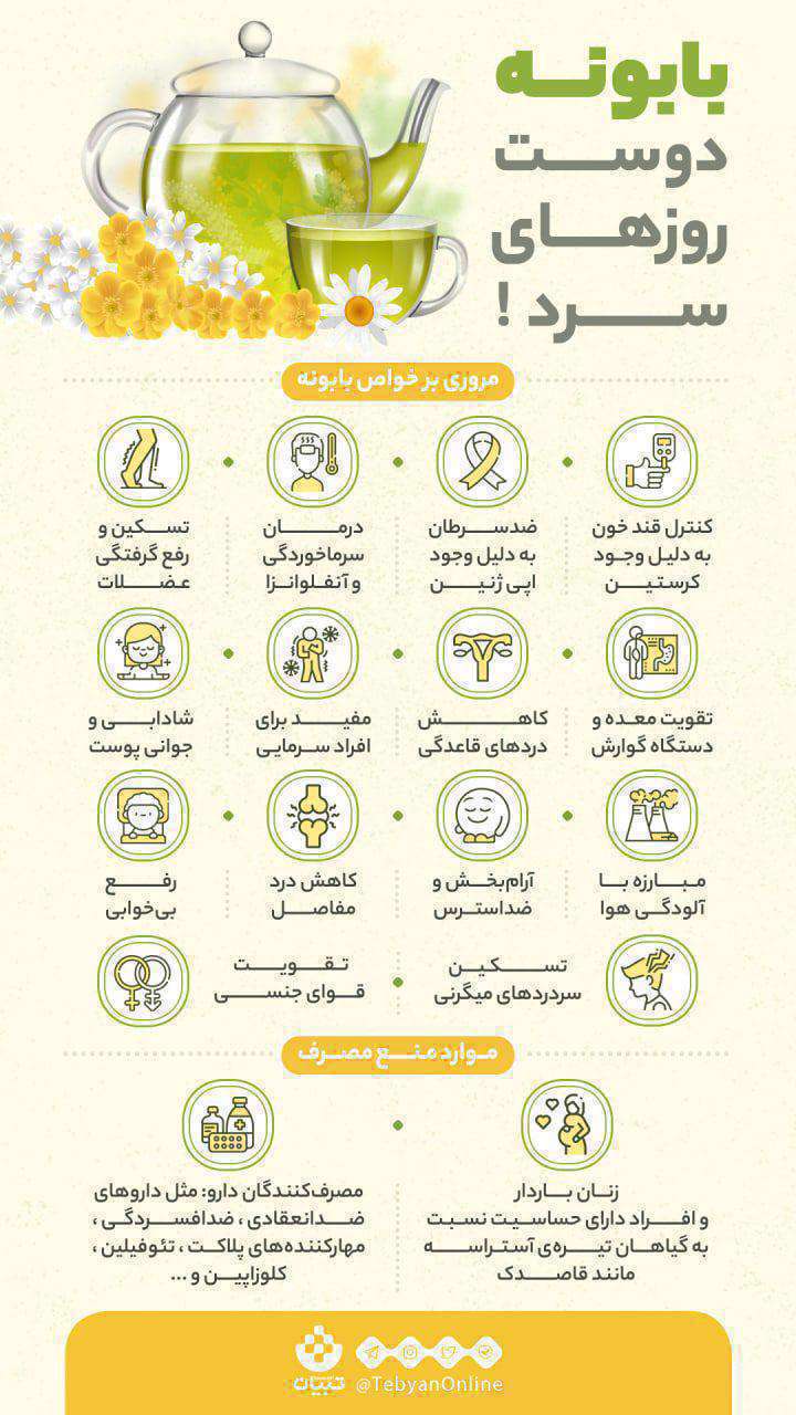 گیاه بابونه، اینفوگرافی،