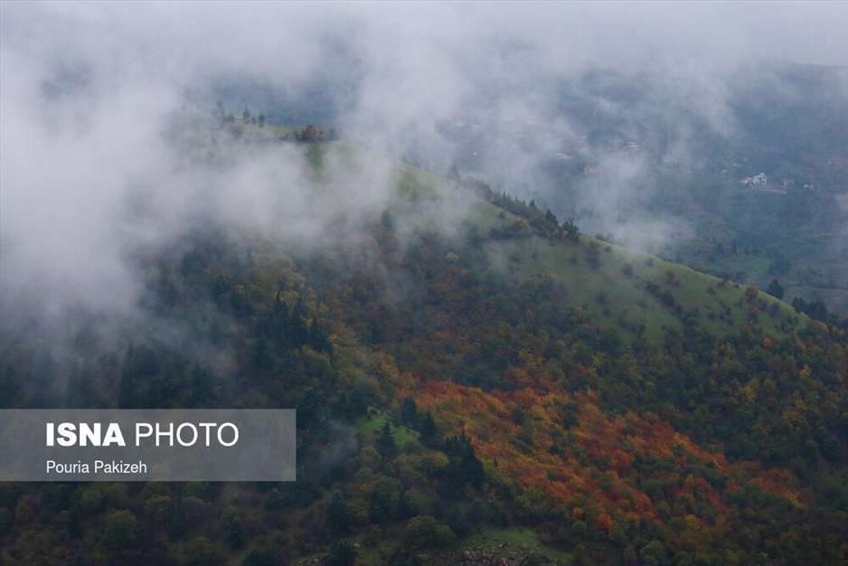 تصاویر شگفت انگیز پائیز در جنگل‌های هیرکانی گیلان