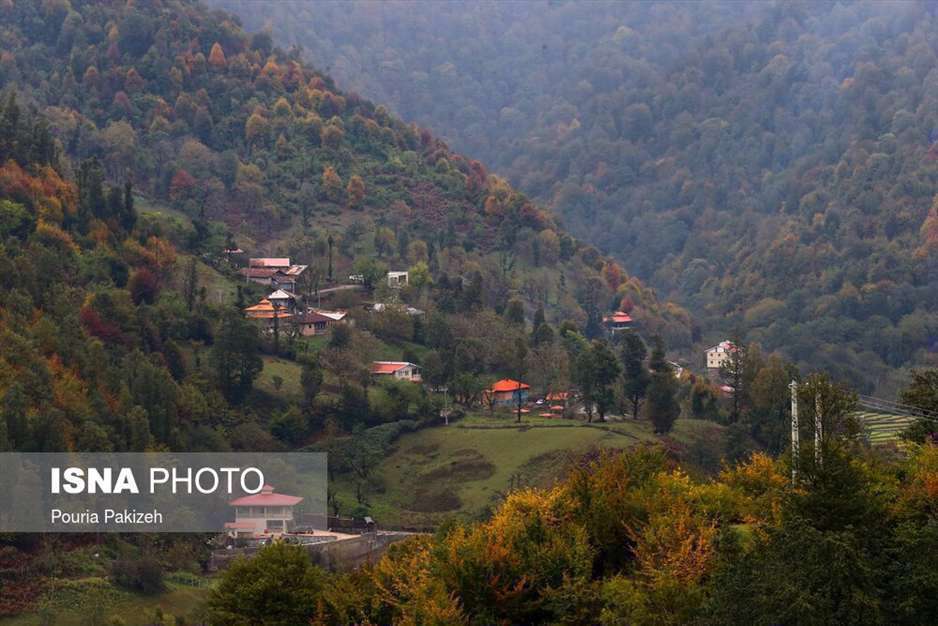 تصاویر شگفت انگیز پائیز در جنگل‌های هیرکانی گیلان