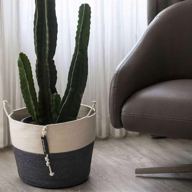 ایده برای بافت سبد نخی نظم دهنده