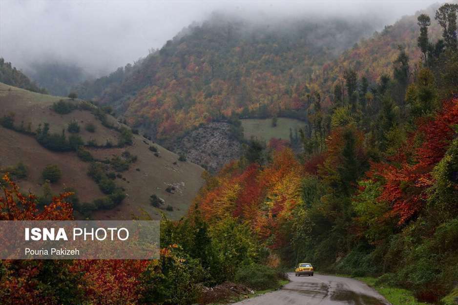 تصاویر شگفت انگیز پائیز در جنگل‌های هیرکانی گیلان