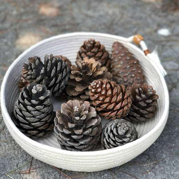 ایده برای بافت سبد نخی نظم دهنده