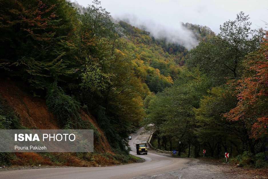 تصاویر شگفت انگیز پائیز در جنگل‌های هیرکانی گیلان