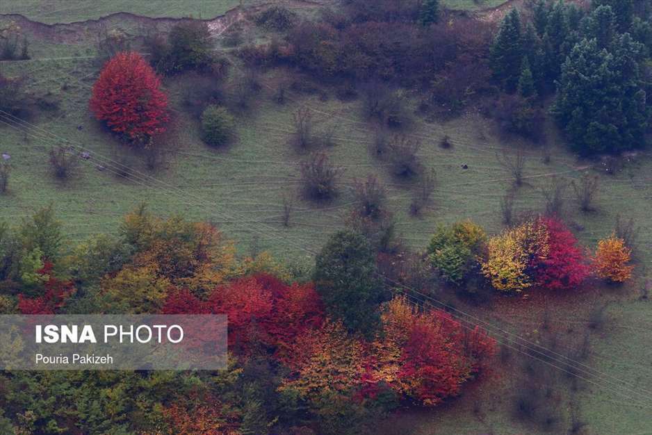 تصاویر شگفت انگیز پائیز در جنگل‌های هیرکانی گیلان